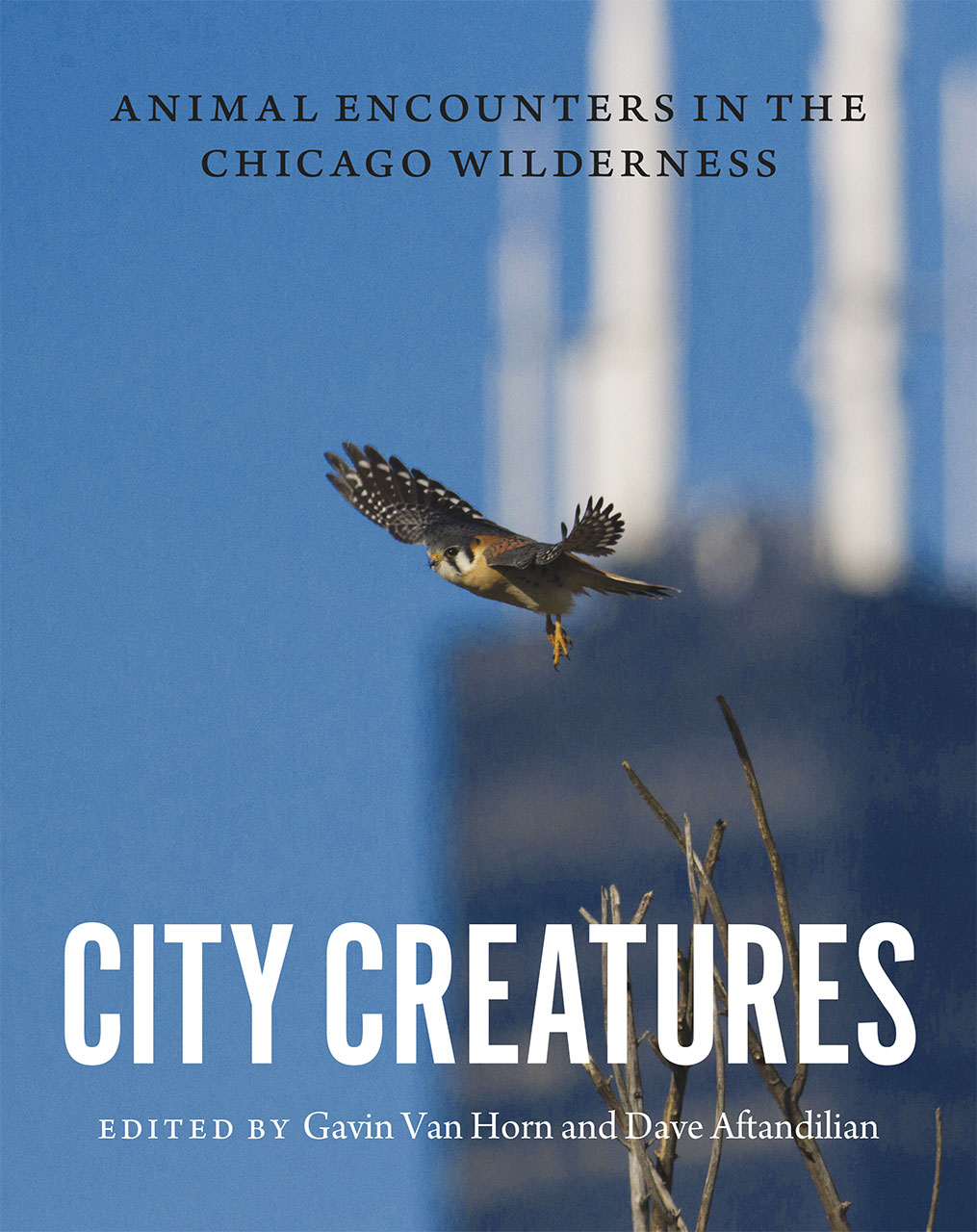 City Creatures Anthology